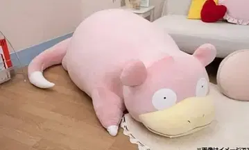 포켓몬 센터 등신대 야돈 봉제 인형