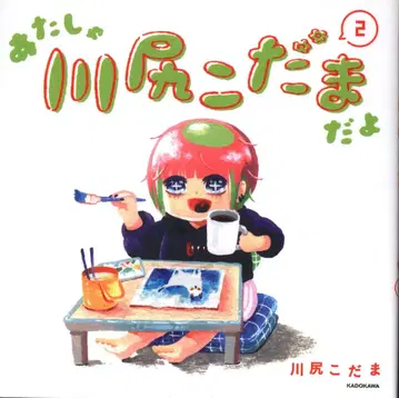 KADOKAWA 카와지리 코다마 나는 카와지리 코다마야 2