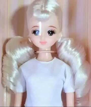 리카짱 캐슬 2025년 버스데이 모델 초대 제니 새상품