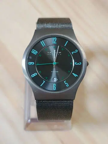 [ 작동품 새상품급 ] SKAGEN J233XLTTME