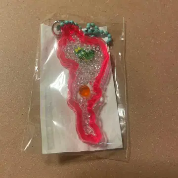 비와코 아크릴 키링 신상 카가미노사토 류오 류 핑크