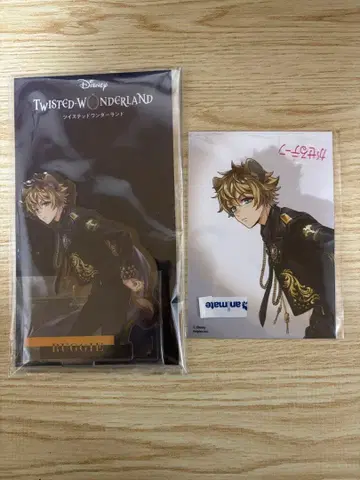 트위스테 브레이징 주얼 러기 아크릴 스탠드 포트레이트