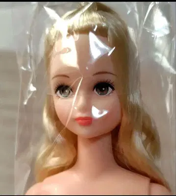 리카짱 캐슬 오타노시미 인형 시온 새상품