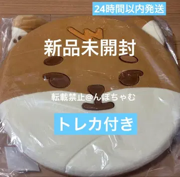 day6 데니멀즈 쿠션 미개봉 새상품 트레이딩 카드 포함 영케이 ke