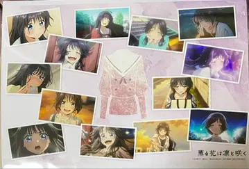 향기로운 꽃은 늠름하게 피다 dvd 구매 혜택 와구리 카오루코