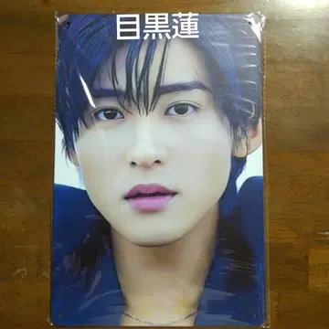 [새상품] 메구로 렌 금속제 포스터 얼굴 클로즈업 사진