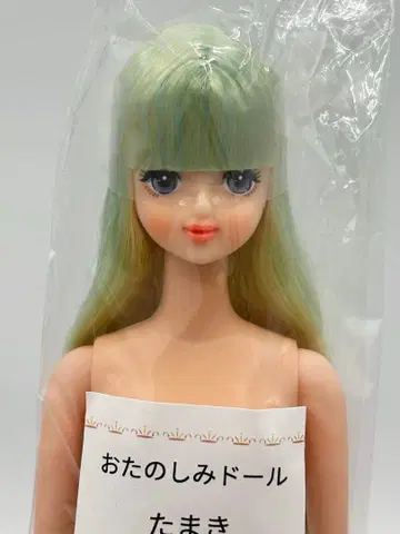 타마키 리카짱 캐슬 오타노시미 인형 그린/옐로우 계열 헤어 제니 프렌드