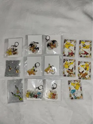 포켓몬 굿즈 프로 2023 아크릴 키링 카드