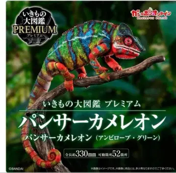 생물대도감 프리미엄 팬서 카멜레온 앰비로브 그린