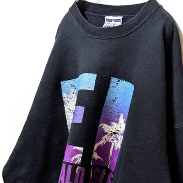 헤인즈 에메랄드 아일 빅 로고 맨투맨 트레이닝복 블랙 2XL 구제 의류