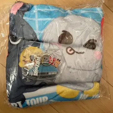 RIIZE 라이즈 리라즈 도쿄돔 업그레이드 특전 타월&키링