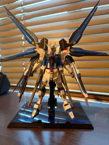 스트라이크 프리덤 이식 메탈 로봇혼 건담 SEED