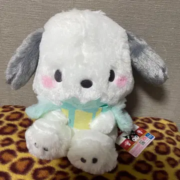 산리오 HBD 쿠로미 big 봉제 인형 포차코