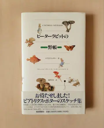 피터 래빗의 야외 기록