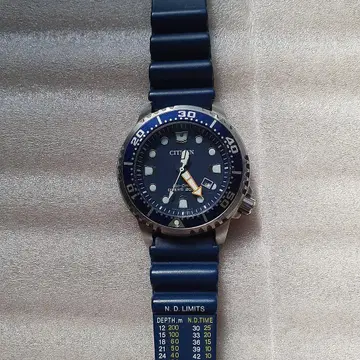 시티즌 프로마스터