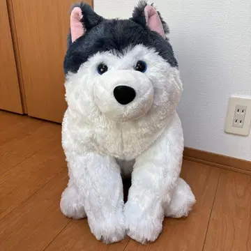 축 늘어지고 복슬복슬한 시베리안 허스키 울트라 BIG 봉제 인형
