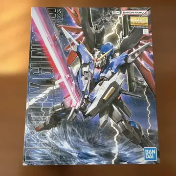 MG 데스티니 건담