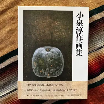 코이즈미 준사쿠 화집 큐류도 그래픽스