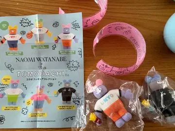 TOMODACHI NAOMI WATANABE 피규어