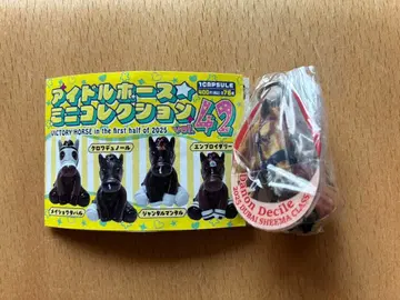 아이돌 호스 미니 컬렉션 42 다논데사이르