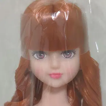 리카짱 캐슬 즐거운 인형 시온 제니 프렌드 새상품