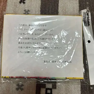 원피스 카드 케이스