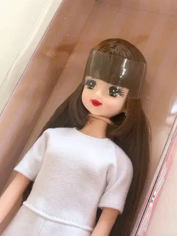 2023년 일본바시 BASIC 모델 초대 제니 리카짱 캐슬