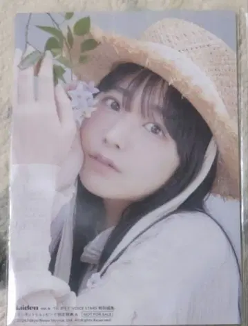 히츠미야 히나 브로마이드 Maiden vol.4 세븐넷