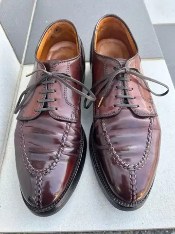 알든 Norwegian Front 코도반