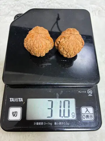 미꾸라지 등 문완 호두 ( 스트레스 완화 손바닥 마사지용 )