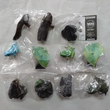 생물대도감 미니 컬렉션 양서류 01 전 5종 세트