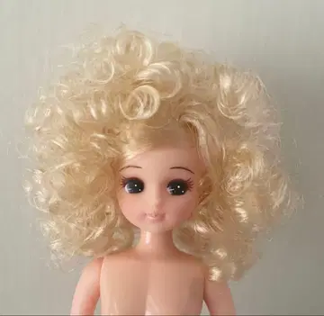 리카짱 캐슬 아프로리카짱