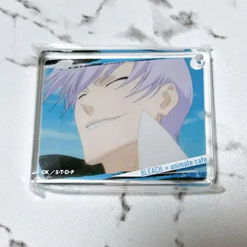 BLEACH 코롯타 이치마루 긴