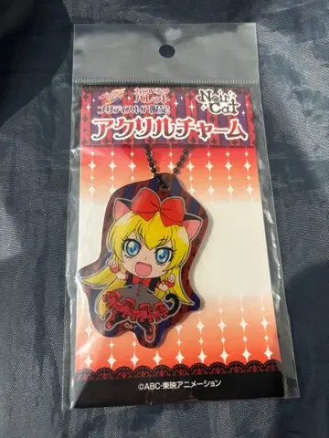 카와이로 팔레트 느와르 캣 아크릴 참 레지나