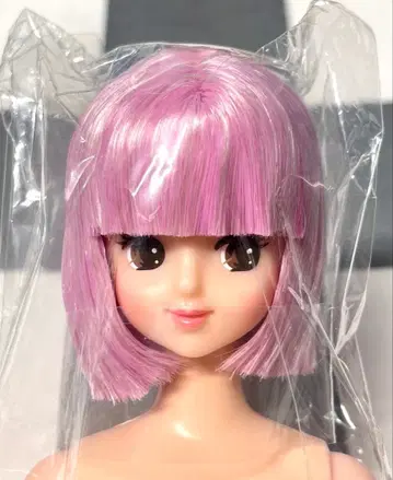 주디 리카짱 캐슬 즐거운 인형 제니 프렌드 인형 교실