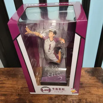 미개봉 새상품 해피 복권 우시지마 와카토시 라스트 원상