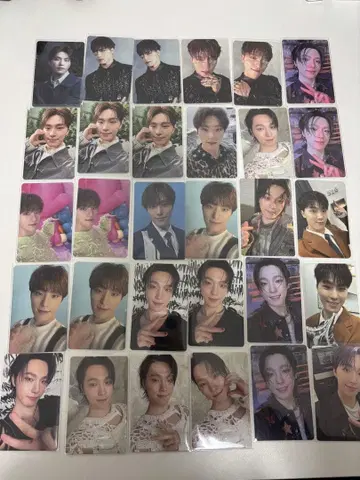 seventeen 디노 트레이딩 카드 세트 묶음 판매