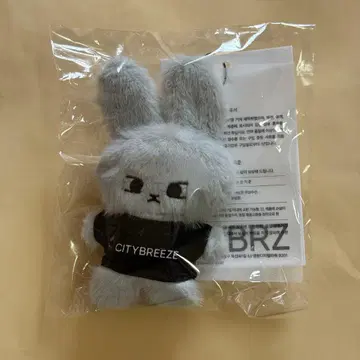 CITYBREEZE 도영 키링