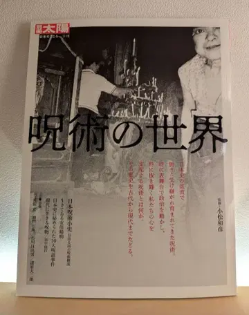 주술의 세계 별책 태양