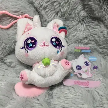 WISHCAT 사쿠야 NCTWISH