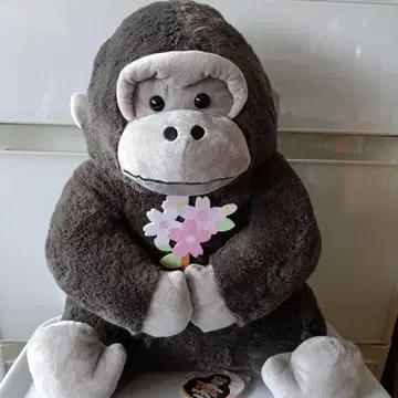 우호우호 고릴라의 고리 군 봄이네요 울트라 BIG 택 포함