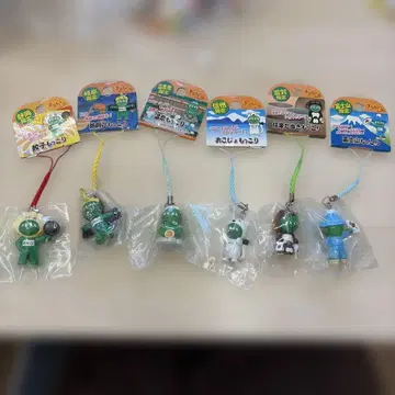 마리모코리 시즈오카 기후 온천지 신슈 시가 후지산