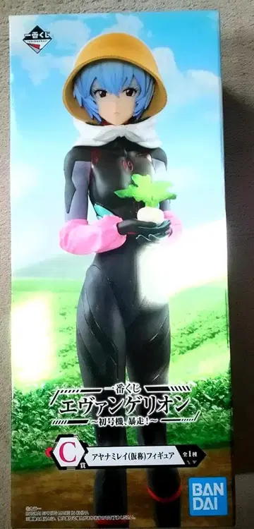 아야나미 레이 (가칭) 제일복권 C상 에반게리온 피규어 아야나미 레이