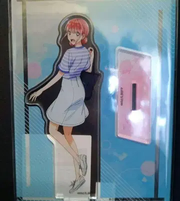 푸른상자 초노 히나 아크릴 스탠드 수족관