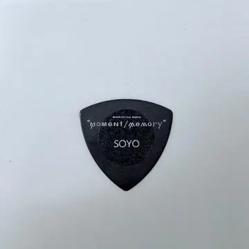 MyGO!!!!! ESP 회장 한정 피크 나가사키 소요 뱅드림