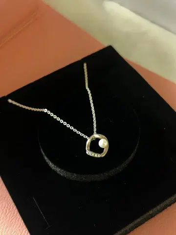 PANDORA 목걸이 실버