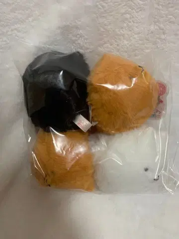 부들부들! 포메라니안 달리기 4종 5개 세트 댕댕이