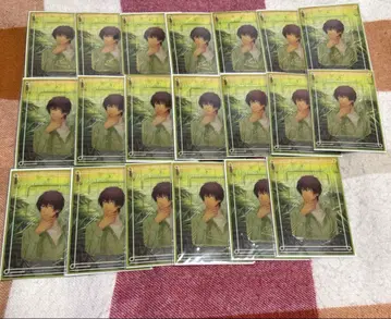 우타프리 아이지마 세실 DN 비쥬카 묶음 판매