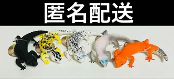 생물 도감 키즈 시리즈 리얼 레오파드게코 컴플리트 세트