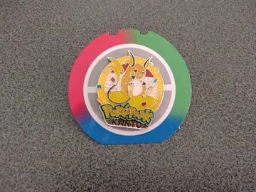 포켓몬 포케파크 칸토 한정판 핀 배지 라이츄